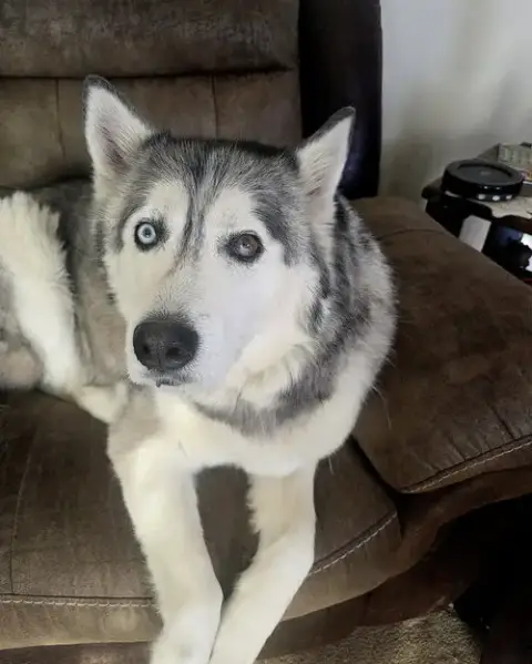 Dakota photo 2