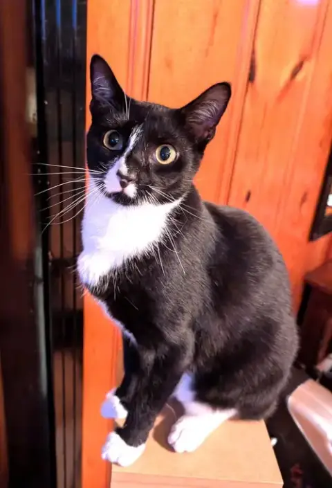 Kitty Omaire photo 3
