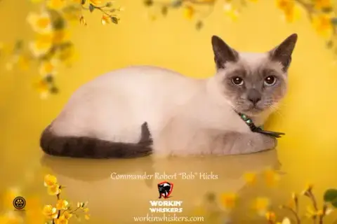 Commander Robert "Bob" Hicks