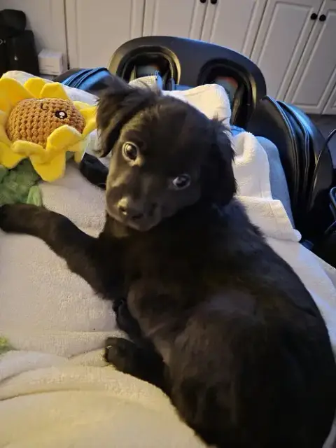 Lucy
