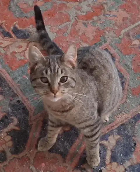Gunther