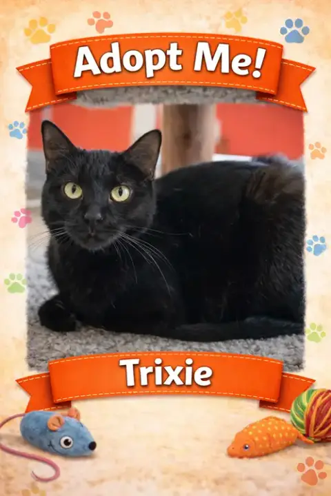Trixie photo 3