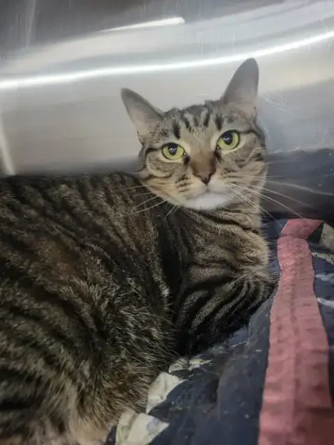 Bristol photo 3
