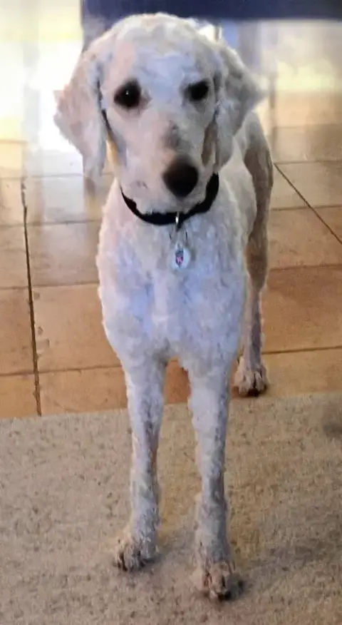Billy
