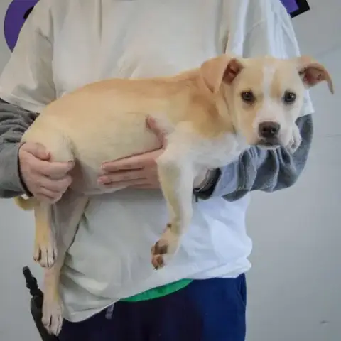 Delilah photo 2