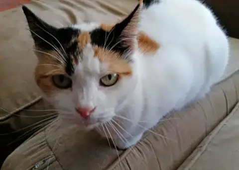 Freya photo 5