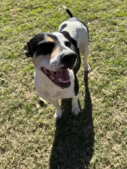 Maggie photo 4