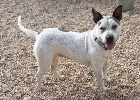 Trinity- Certified Good Girl