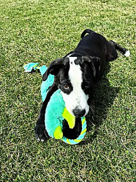 Marty photo 4