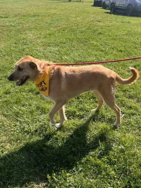 Roscoe photo 2