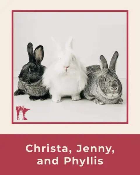 Jenny photo 4