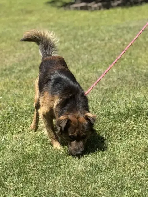 Milo