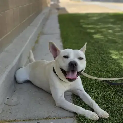 Marley