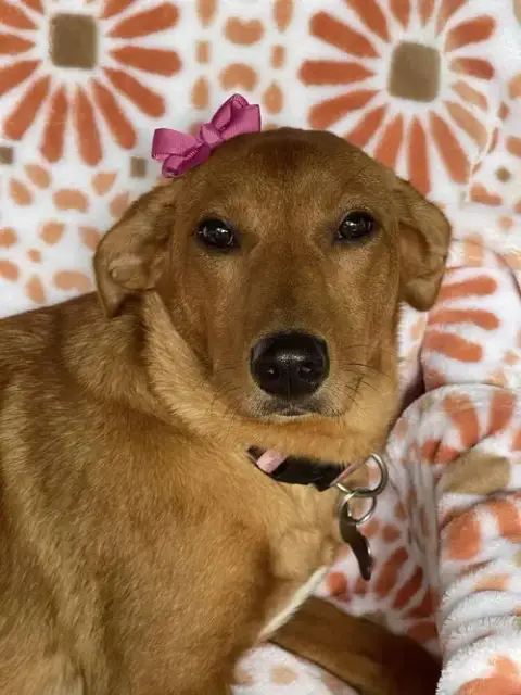 Marley