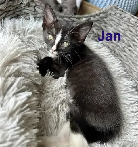 Jan