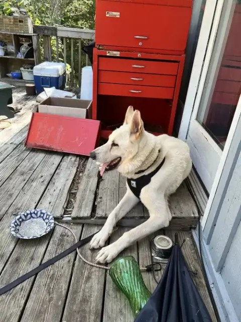 Krypto