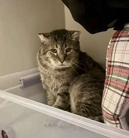 Jumanji