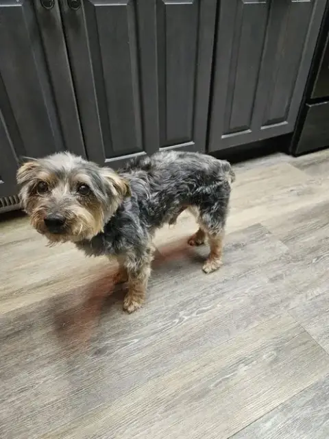 Ernie photo 3