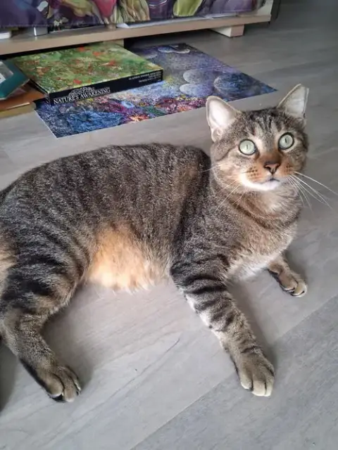 Sammy photo 4