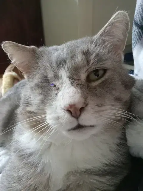 Coolio- Missing An Eye photo 2
