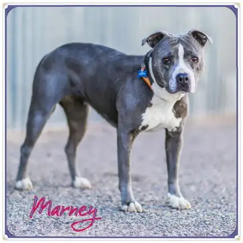 Marney