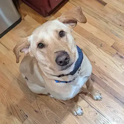 Jake photo 3