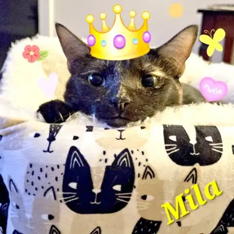Mila photo 2