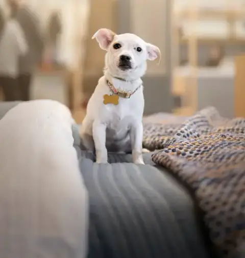 Dottie photo 2