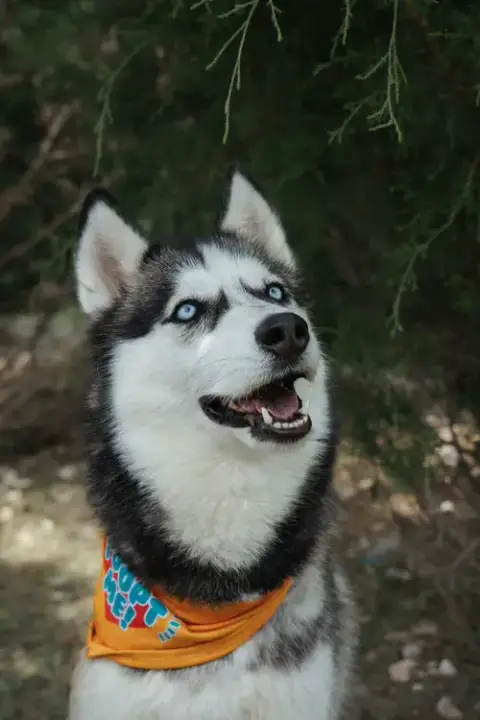 Skylar photo 2