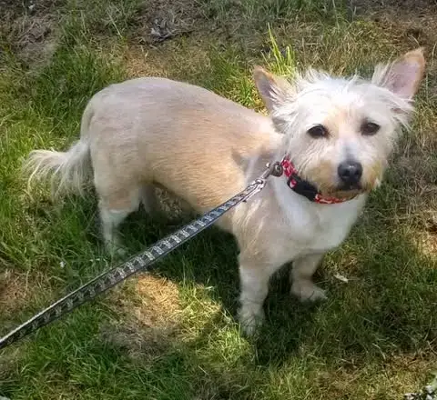 Teddy F/K/A Trooper