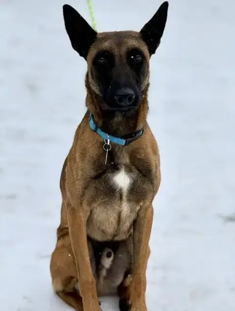 Jake- Located In Oklahoma