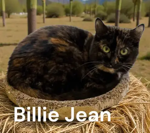 Billie Jean