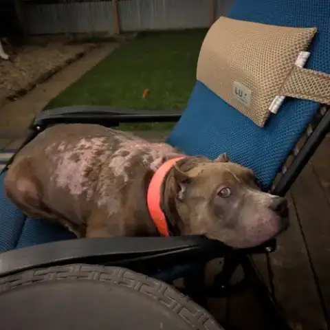 Freyja photo 2