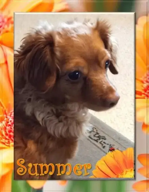 Summer photo 2