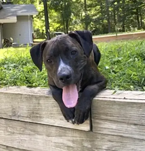 Cooper photo 4