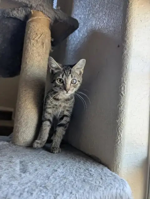 Mccloud photo 2