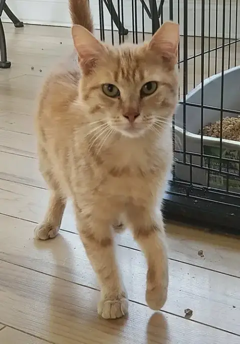 Rusty