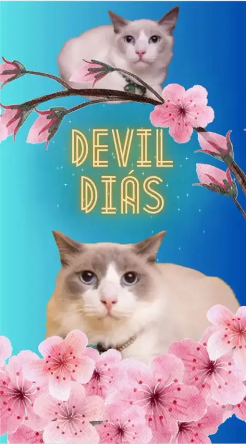 Devil Dias photo 3