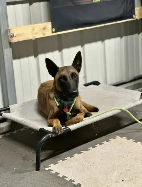 Jake- Located In Oklahoma photo 4