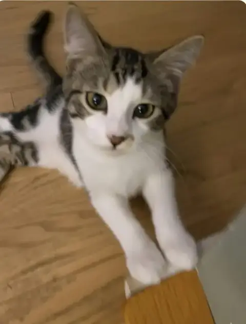 Jim