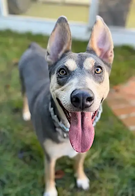 Sadie photo 3