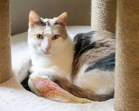 Mimi photo 4