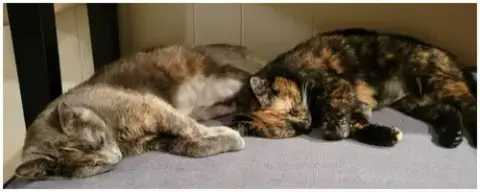 Meisha photo 2