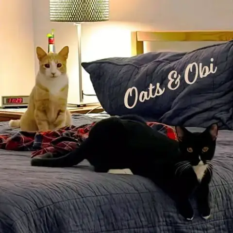 Oats & Obi #Bonded-Brothers
