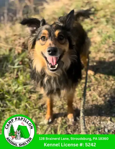 Zues
