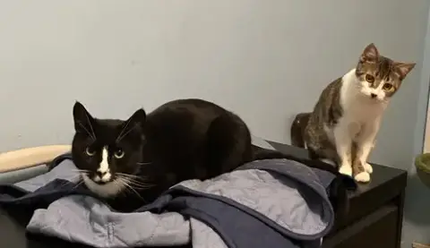 Charlie And Farrah