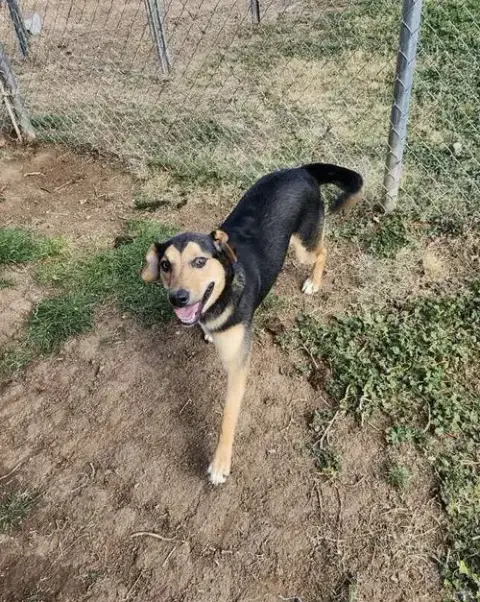 Jax photo 2