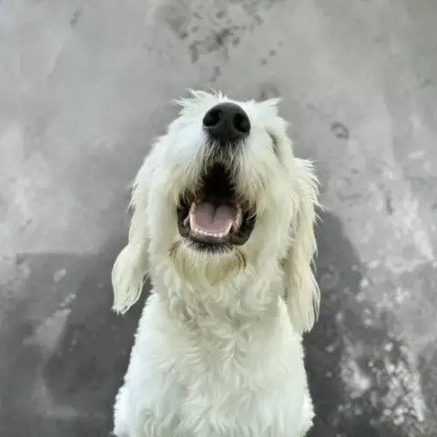 Tobie photo 2