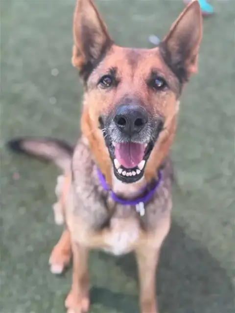 Maya photo 2