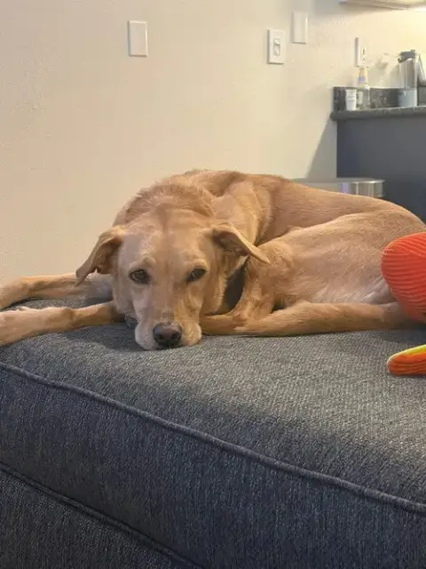 Maggie photo 3